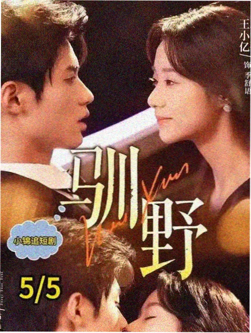 当代电影详情窗口示意图